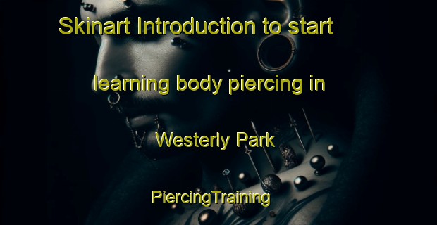 Skinart Introduction to start learning body piercing in Westerly Park | PiercingTraining | PiercingClasses | SkinartTraining-United States
