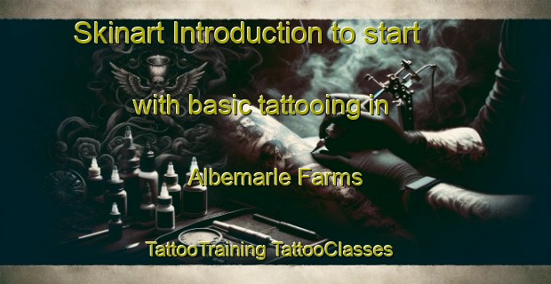 Skinart Introduction to start with basic tattooing in Albemarle Farms | #TattooTraining #TattooClasses #SkinartTraining-United States