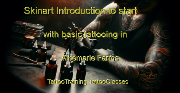 Skinart Introduction to start with basic tattooing in Albemarle Farms | #TattooTraining #TattooClasses #SkinartTraining-United States