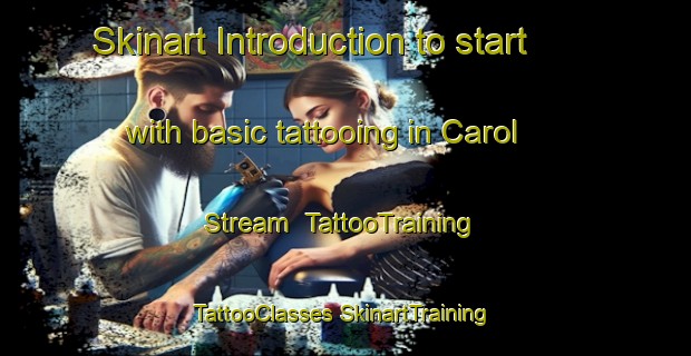 Skinart Introduction to start with basic tattooing in Carol Stream | #TattooTraining #TattooClasses #SkinartTraining-United States