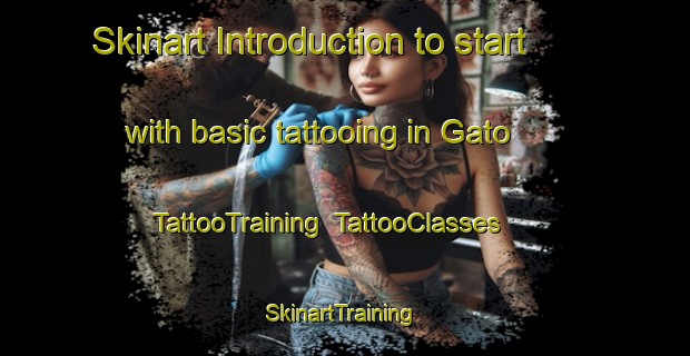 Skinart Introduction to start with basic tattooing in Gato | TattooTraining | TattooClasses | SkinartTraining-United States