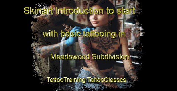 Skinart Introduction to start with basic tattooing in Meadowood Subdivision | #TattooTraining #TattooClasses #SkinartTraining-United States