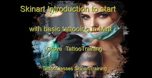 Skinart Introduction to start with basic tattooing in Mint Grove | #TattooTraining #TattooClasses #SkinartTraining-United States