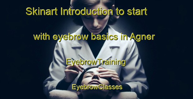 Skinart Introduction to start with eyebrow basics in Agner | EyebrowTraining | EyebrowClasses | SkinartTraining-United States