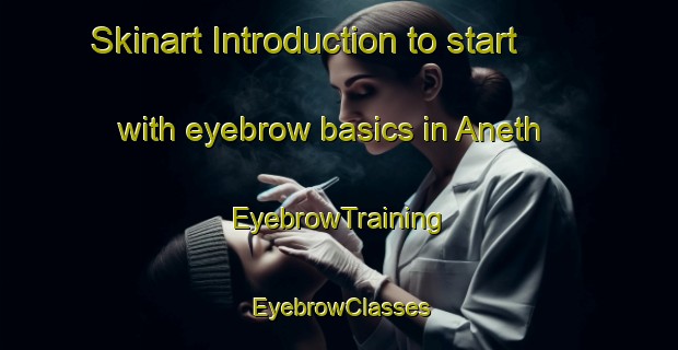 Skinart Introduction to start with eyebrow basics in Aneth | EyebrowTraining | EyebrowClasses | SkinartTraining-United States