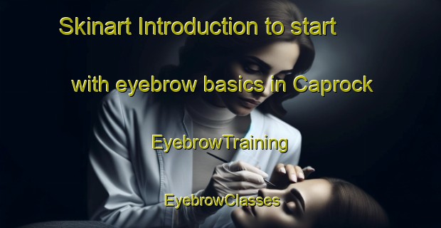 Skinart Introduction to start with eyebrow basics in Caprock | EyebrowTraining | EyebrowClasses | SkinartTraining-United States
