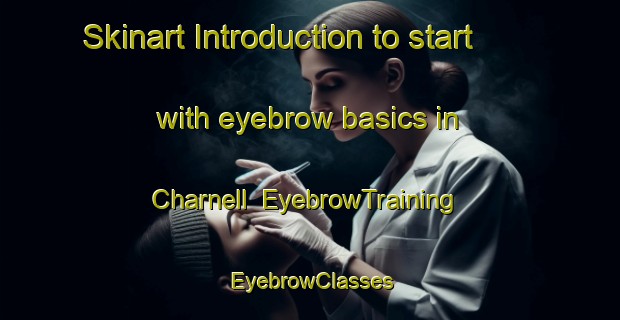 Skinart Introduction to start with eyebrow basics in Charnell | EyebrowTraining | EyebrowClasses | SkinartTraining-United States