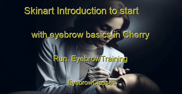 Skinart Introduction to start with eyebrow basics in Cherry Run | EyebrowTraining | EyebrowClasses | SkinartTraining-United States