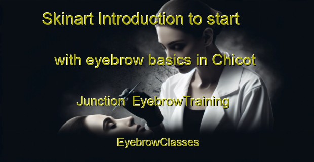 Skinart Introduction to start with eyebrow basics in Chicot Junction | EyebrowTraining | EyebrowClasses | SkinartTraining-United States