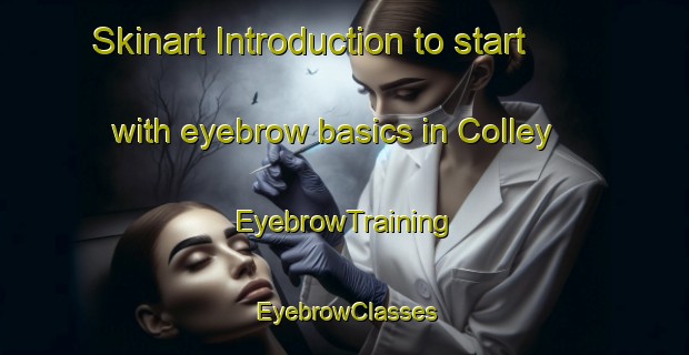 Skinart Introduction to start with eyebrow basics in Colley | EyebrowTraining | EyebrowClasses | SkinartTraining-United States