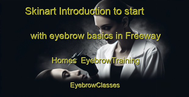Skinart Introduction to start with eyebrow basics in Freeway Homes | EyebrowTraining | EyebrowClasses | SkinartTraining-United States