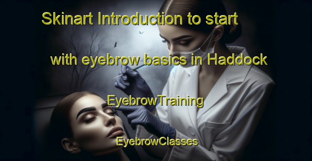 Skinart Introduction to start with eyebrow basics in Haddock | EyebrowTraining | EyebrowClasses | SkinartTraining-United States