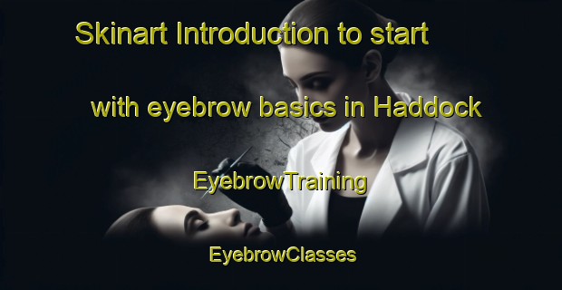 Skinart Introduction to start with eyebrow basics in Haddock | EyebrowTraining | EyebrowClasses | SkinartTraining-United States
