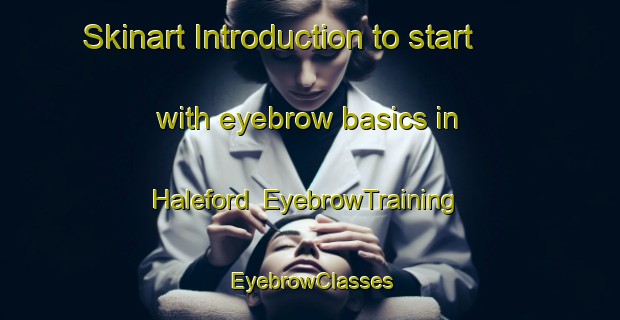 Skinart Introduction to start with eyebrow basics in Haleford | EyebrowTraining | EyebrowClasses | SkinartTraining-United States