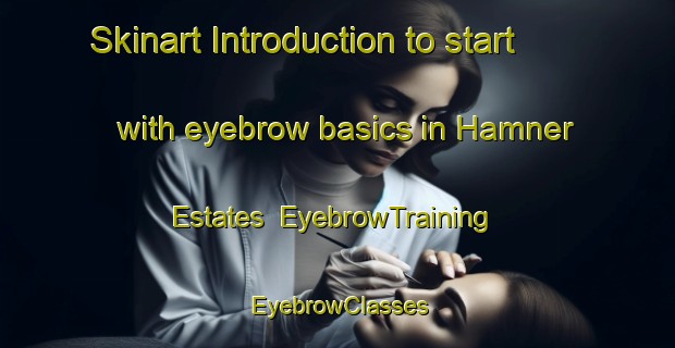 Skinart Introduction to start with eyebrow basics in Hamner Estates | EyebrowTraining | EyebrowClasses | SkinartTraining-United States