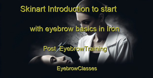Skinart Introduction to start with eyebrow basics in Iron Post | EyebrowTraining | EyebrowClasses | SkinartTraining-United States