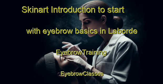 Skinart Introduction to start with eyebrow basics in Laborde | EyebrowTraining | EyebrowClasses | SkinartTraining-United States