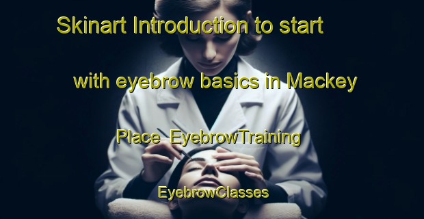 Skinart Introduction to start with eyebrow basics in Mackey Place | EyebrowTraining | EyebrowClasses | SkinartTraining-United States