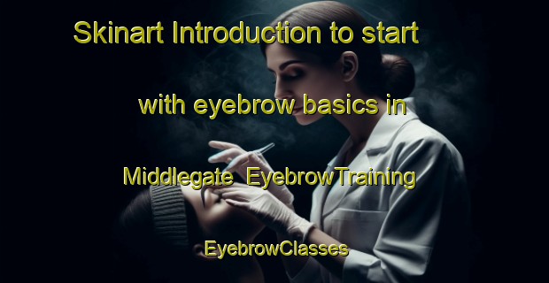 Skinart Introduction to start with eyebrow basics in Middlegate | EyebrowTraining | EyebrowClasses | SkinartTraining-United States