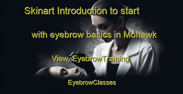Skinart Introduction to start with eyebrow basics in Mohawk View | EyebrowTraining | EyebrowClasses | SkinartTraining-United States