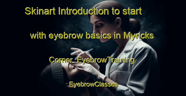 Skinart Introduction to start with eyebrow basics in Myricks Corner | EyebrowTraining | EyebrowClasses | SkinartTraining-United States