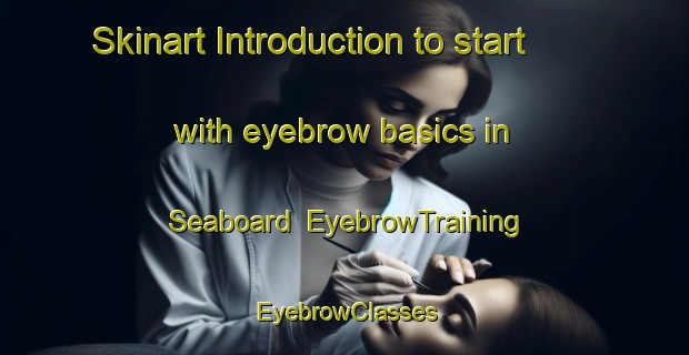 Skinart Introduction to start with eyebrow basics in Seaboard | EyebrowTraining | EyebrowClasses | SkinartTraining-United States
