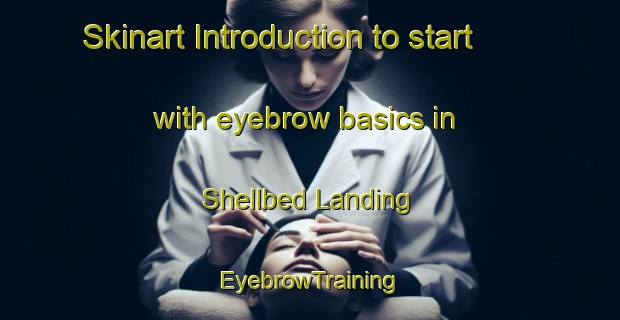 Skinart Introduction to start with eyebrow basics in Shellbed Landing | EyebrowTraining | EyebrowClasses | SkinartTraining-United States