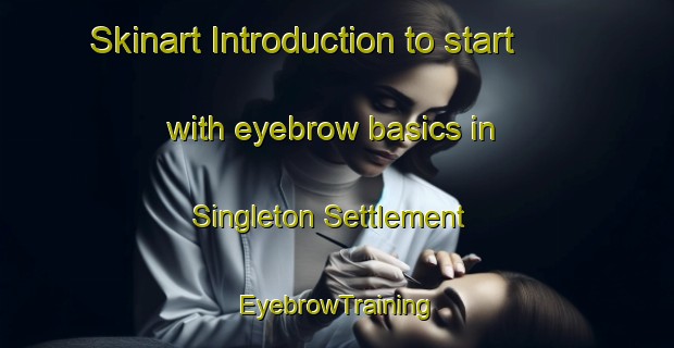 Skinart Introduction to start with eyebrow basics in Singleton Settlement | EyebrowTraining | EyebrowClasses | SkinartTraining-United States