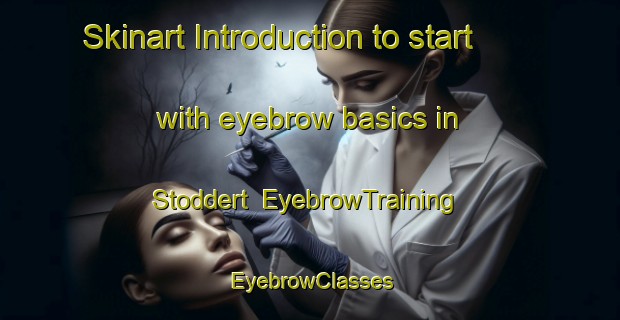 Skinart Introduction to start with eyebrow basics in Stoddert | EyebrowTraining | EyebrowClasses | SkinartTraining-United States
