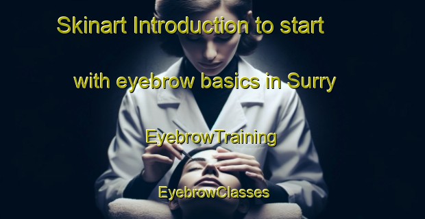 Skinart Introduction to start with eyebrow basics in Surry | EyebrowTraining | EyebrowClasses | SkinartTraining-United States