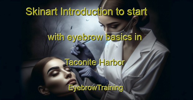Skinart Introduction to start with eyebrow basics in Taconite Harbor | EyebrowTraining | EyebrowClasses | SkinartTraining-United States