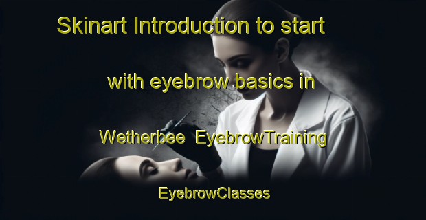 Skinart Introduction to start with eyebrow basics in Wetherbee | EyebrowTraining | EyebrowClasses | SkinartTraining-United States