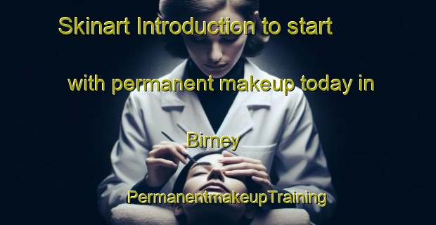 Skinart Introduction to start with permanent makeup today in Birney | #PermanentmakeupTraining #PermanentmakeupClasses #SkinartTraining-United States