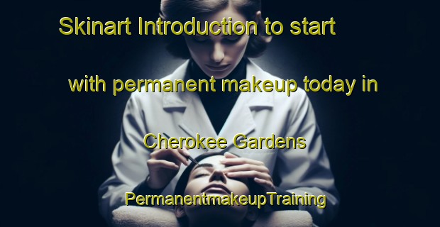 Skinart Introduction to start with permanent makeup today in Cherokee Gardens | PermanentmakeupTraining | PermanentmakeupClasses | SkinartTraining-United States