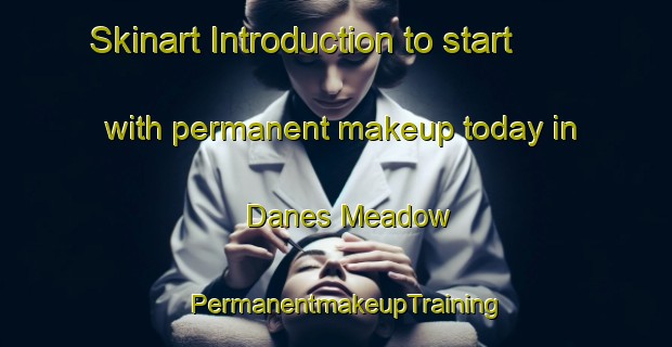 Skinart Introduction to start with permanent makeup today in Danes Meadow | PermanentmakeupTraining | PermanentmakeupClasses | SkinartTraining-United States
