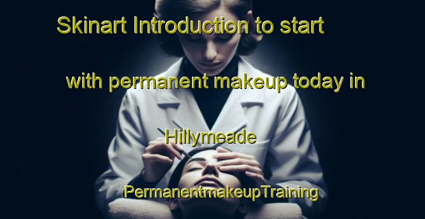 Skinart Introduction to start with permanent makeup today in Hillymeade | #PermanentmakeupTraining #PermanentmakeupClasses #SkinartTraining-United States