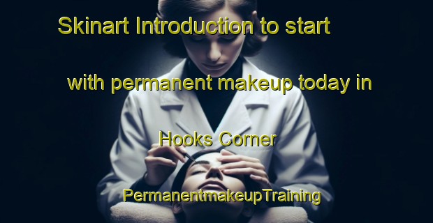 Skinart Introduction to start with permanent makeup today in Hooks Corner | PermanentmakeupTraining | PermanentmakeupClasses | SkinartTraining-United States