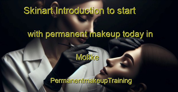 Skinart Introduction to start with permanent makeup today in Moltke | PermanentmakeupTraining | PermanentmakeupClasses | SkinartTraining-United States