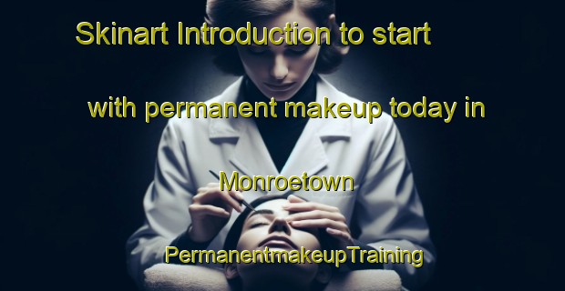 Skinart Introduction to start with permanent makeup today in Monroetown | #PermanentmakeupTraining #PermanentmakeupClasses #SkinartTraining-United States