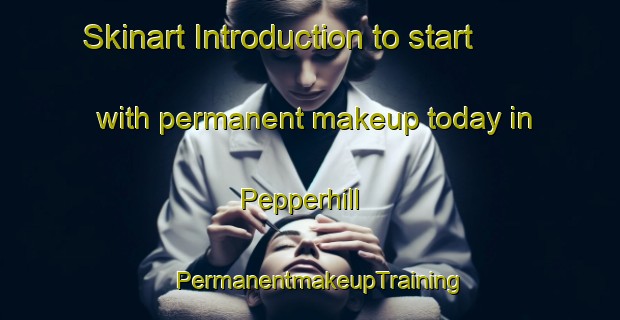 Skinart Introduction to start with permanent makeup today in Pepperhill | PermanentmakeupTraining | PermanentmakeupClasses | SkinartTraining-United States