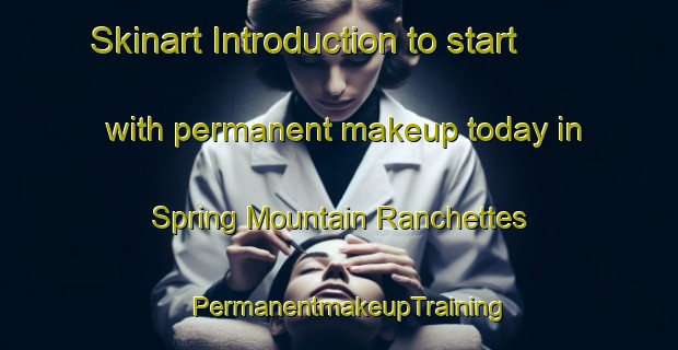 Skinart Introduction to start with permanent makeup today in Spring Mountain Ranchettes | PermanentmakeupTraining | PermanentmakeupClasses | SkinartTraining-United States