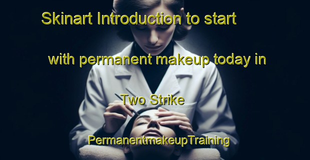 Skinart Introduction to start with permanent makeup today in Two Strike | PermanentmakeupTraining | PermanentmakeupClasses | SkinartTraining-United States