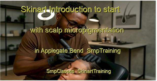 Skinart Introduction to start with scalp micropigmentation in Applegate Bend | SmpTraining | SmpClasses | SkinartTraining-United States