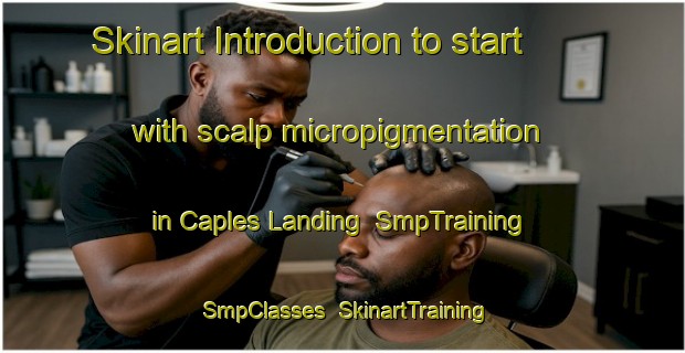Skinart Introduction to start with scalp micropigmentation in Caples Landing | SmpTraining | SmpClasses | SkinartTraining-United States