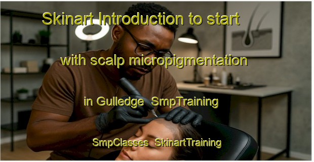 Skinart Introduction to start with scalp micropigmentation in Gulledge | SmpTraining | SmpClasses | SkinartTraining-United States