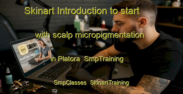 Skinart Introduction to start with scalp micropigmentation in Platora | SmpTraining | SmpClasses | SkinartTraining-United States