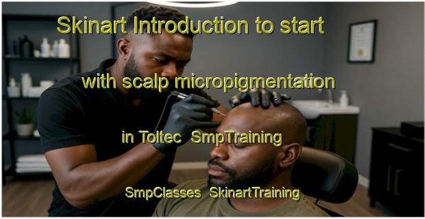 Skinart Introduction to start with scalp micropigmentation in Toltec | SmpTraining | SmpClasses | SkinartTraining-United States
