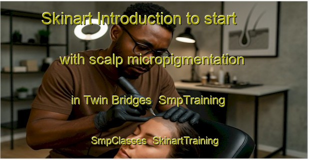 Skinart Introduction to start with scalp micropigmentation in Twin Bridges | SmpTraining | SmpClasses | SkinartTraining-United States