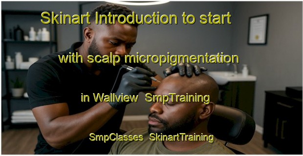 Skinart Introduction to start with scalp micropigmentation in Wallview | SmpTraining | SmpClasses | SkinartTraining-United States