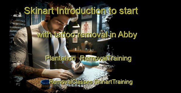 Skinart Introduction to start with tattoo removal in Abby Plantation | #RemovalTraining #RemovalClasses #SkinartTraining-United States